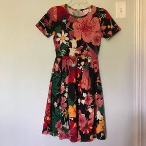 XS Lularoe Bold Floral Amelia Dress